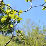La Di Campagna