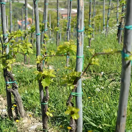 Landhaus La Di Campagna Agropoli