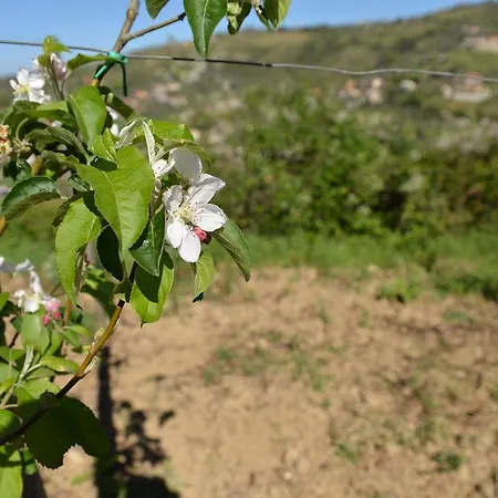 La Di Campagna منزل ريفي