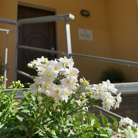 Landhaus La Di Campagna Agropoli
